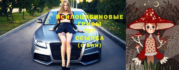 тгк Бугульма
