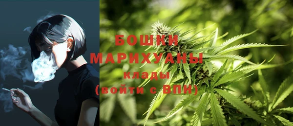 марки lsd Бородино